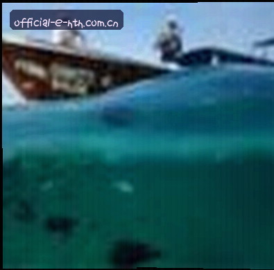 吴婷